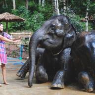 ELEPHANT HUG
